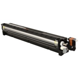 Unidad de Revelado Original Negro RICOH D2443020 para MP C2004 C2504 (180k)