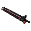 Unidad de Revelado Original Magenta KONICA MINOLTA DV619M A9C80ED para Bizhub C458 C558 C658