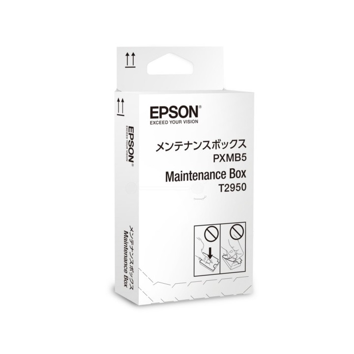 Cartucho de Mantenimiento Original EPSON T2950 para Workforce WF-100