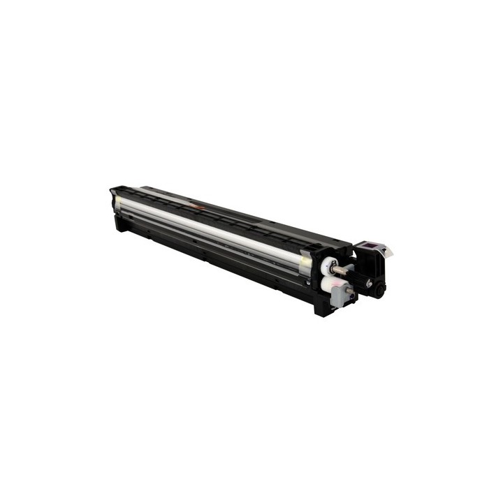 Unidad de Revelado Original Magenta RICOH D2443022 para MP C2004 C2504 (120k)
